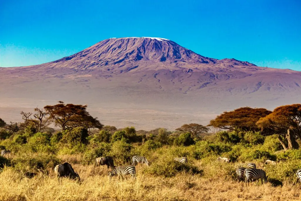The Kilimanjaro Trail